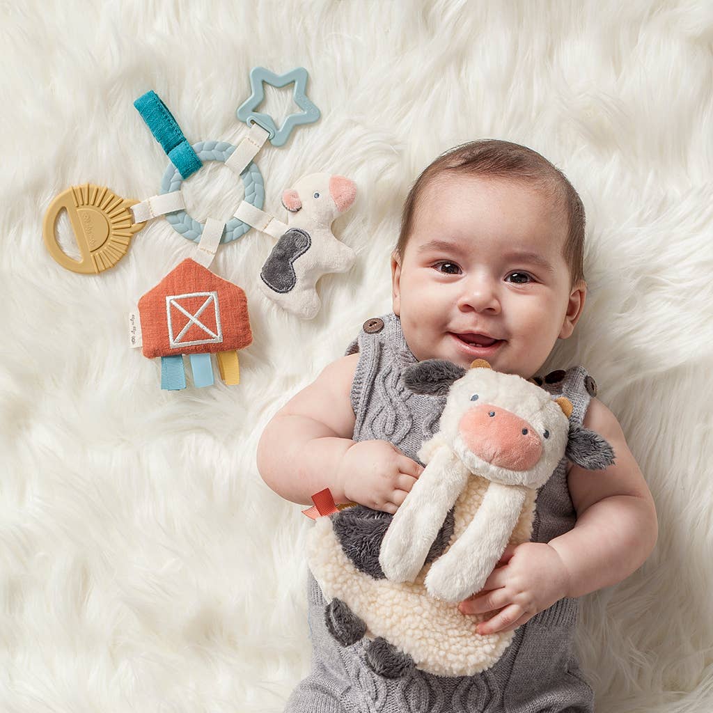 Farm Bitzy Busy Ring Teething Toy