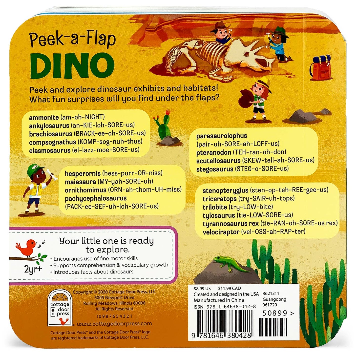 Dino Peek-a-Flap Board Book