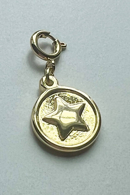 Dylan Collective Gold Charms