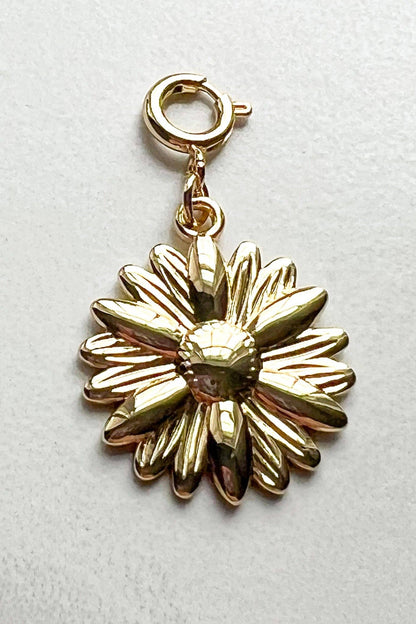 Dylan Collective Gold Charms