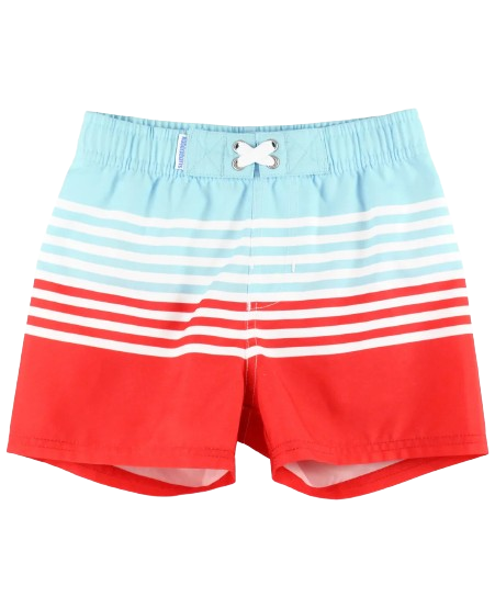 From Sea to Shining Sea Swim Trunks