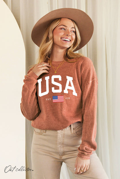 USA EST.1776 Mineral Graphic Sweatshirt
