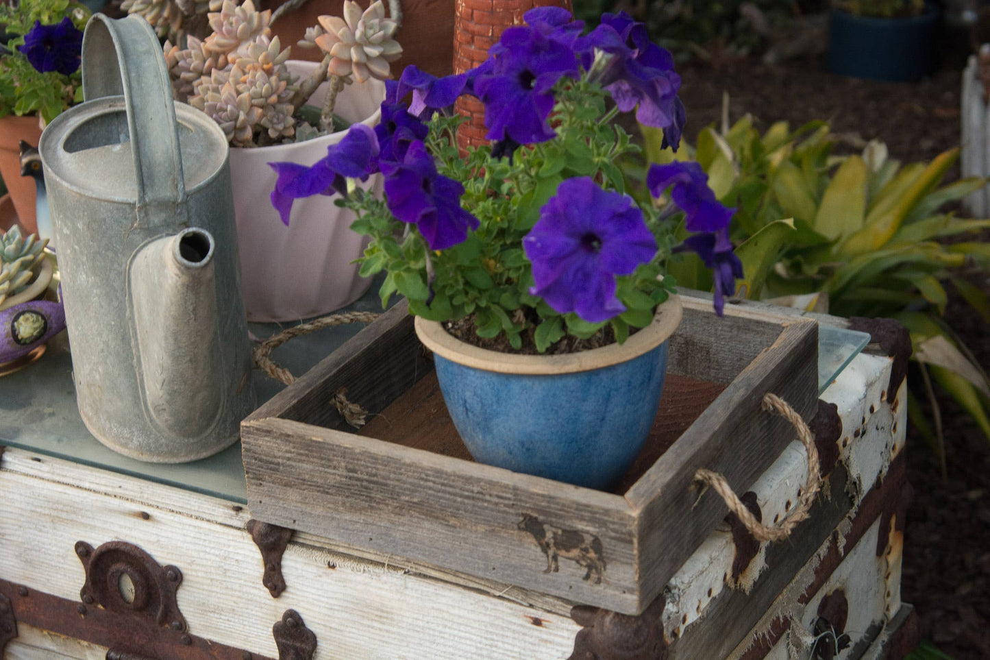 Rustic Farmhouse Wood Tray - Cow