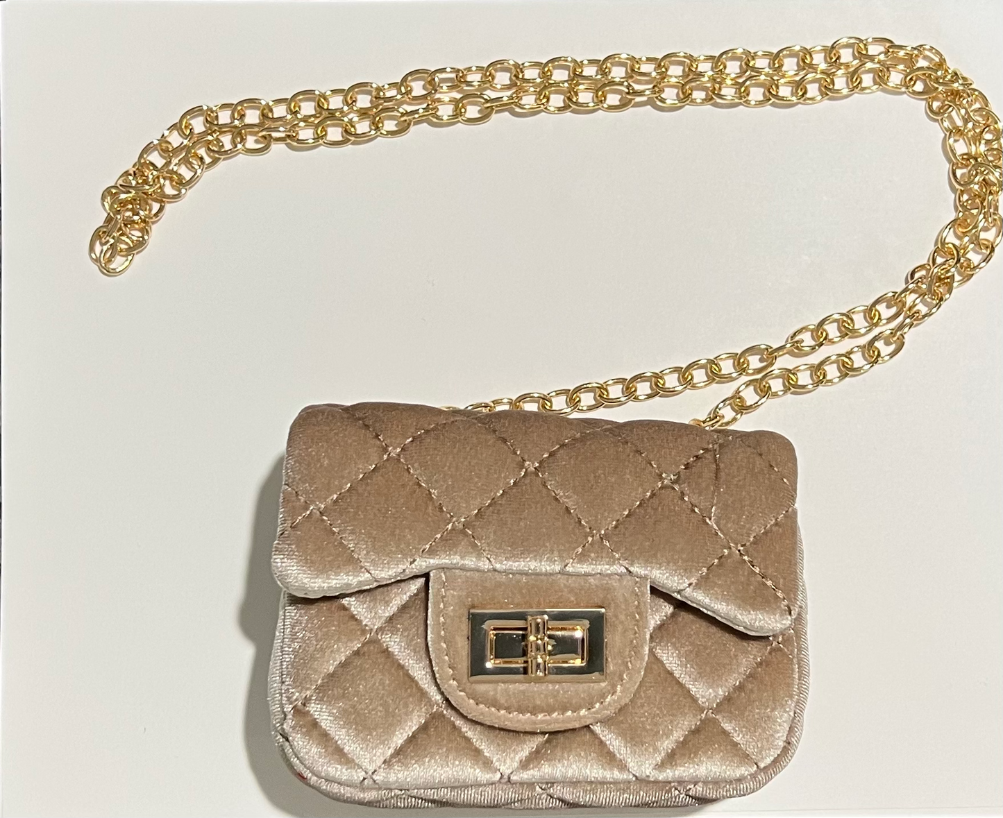 Velvet Purse