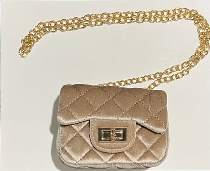 Velvet Purse