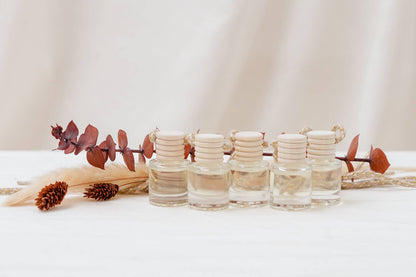 Harvest Moon Car Diffuser – Pumpkin, Cinnamon & Nutmeg