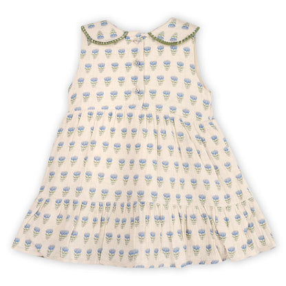 Harper Peter Pan Collar Dress & Bloomers