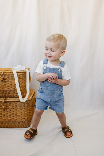 Stripe Shorts Overalls
