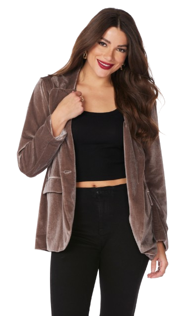 Boyfriend Blazer - Taupe