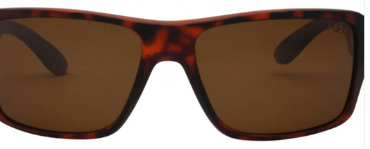 I-Sea Free Bird Brown Men Sunglasses