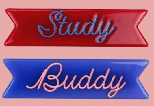 Study Buddy Hair Clip