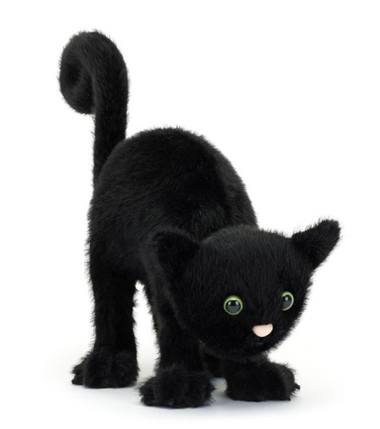 Spookipaws Cat
