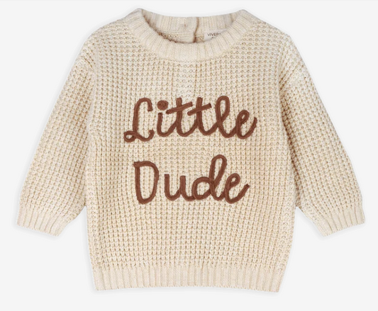Little Dude Embroidered & Stripe Sweater Knit Baby Pullover (Organic Cotton)