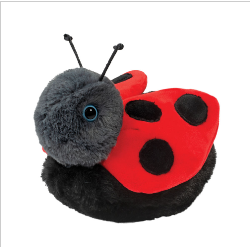 Bert Ladybug