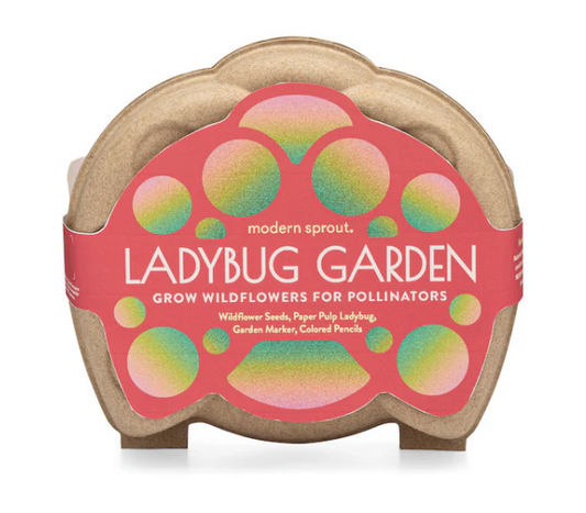 Curious Critters Garden Kits- Ladybug