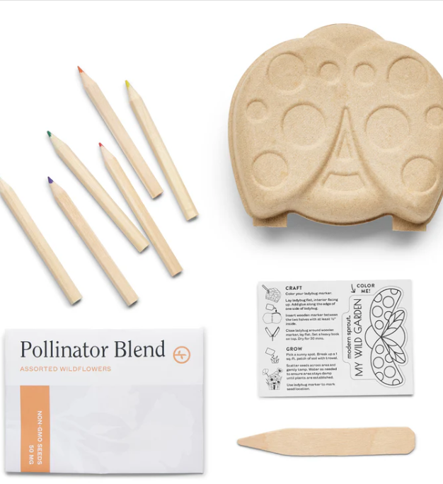 Curious Critters Garden Kits- Ladybug
