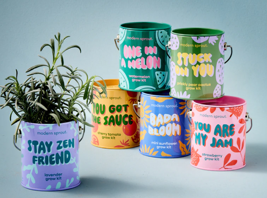 Complimentary Colors Grow Kits