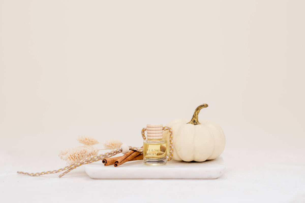 Harvest Moon Car Diffuser – Pumpkin, Cinnamon & Nutmeg