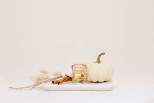 Harvest Moon Car Diffuser – Pumpkin, Cinnamon & Nutmeg