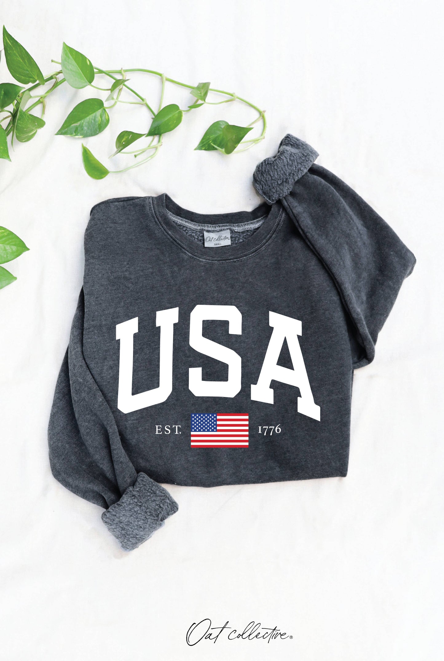 USA EST.1776 Mineral Graphic Sweatshirt