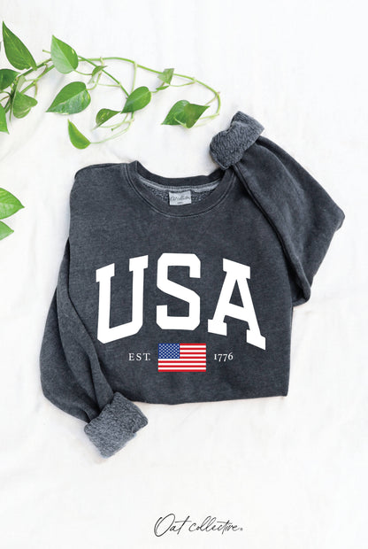 USA EST.1776 Mineral Graphic Sweatshirt