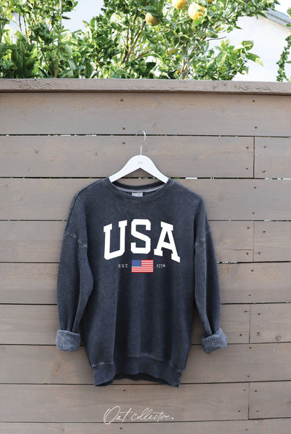 USA EST.1776 Mineral Graphic Sweatshirt